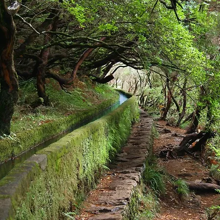 La Vie Funchal 公寓